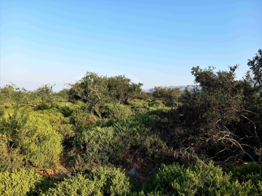 Commercial Property for Sale in Uniondale Rural Western Cape